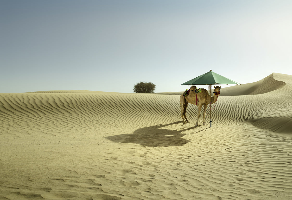 Glatz TEAKWOOD Sonnenschirm - rund