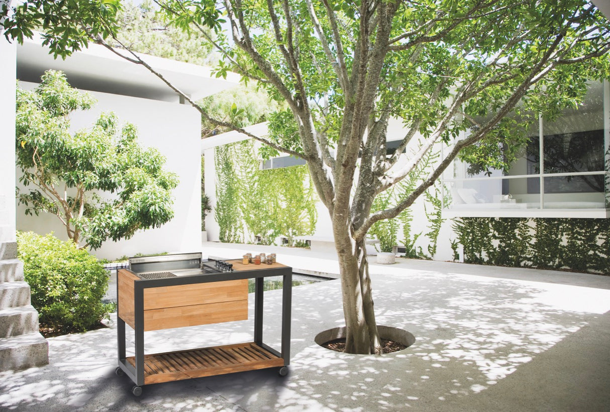 INDU+ Arvid Trolley - inkl. Gasgrill mit flachen Deckel