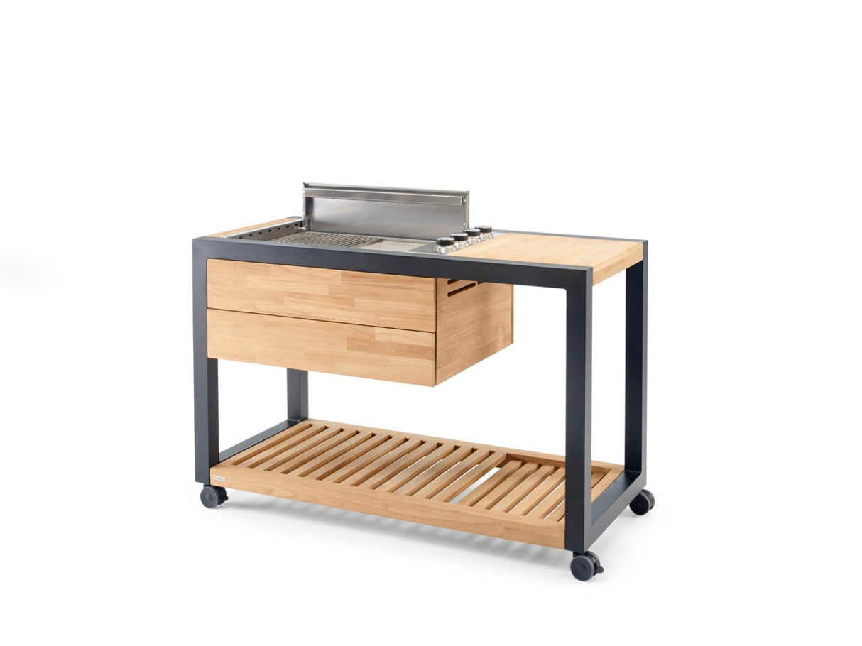 INDU+ Arvid Trolley - inkl. Gasgrill mit flachen Deckel