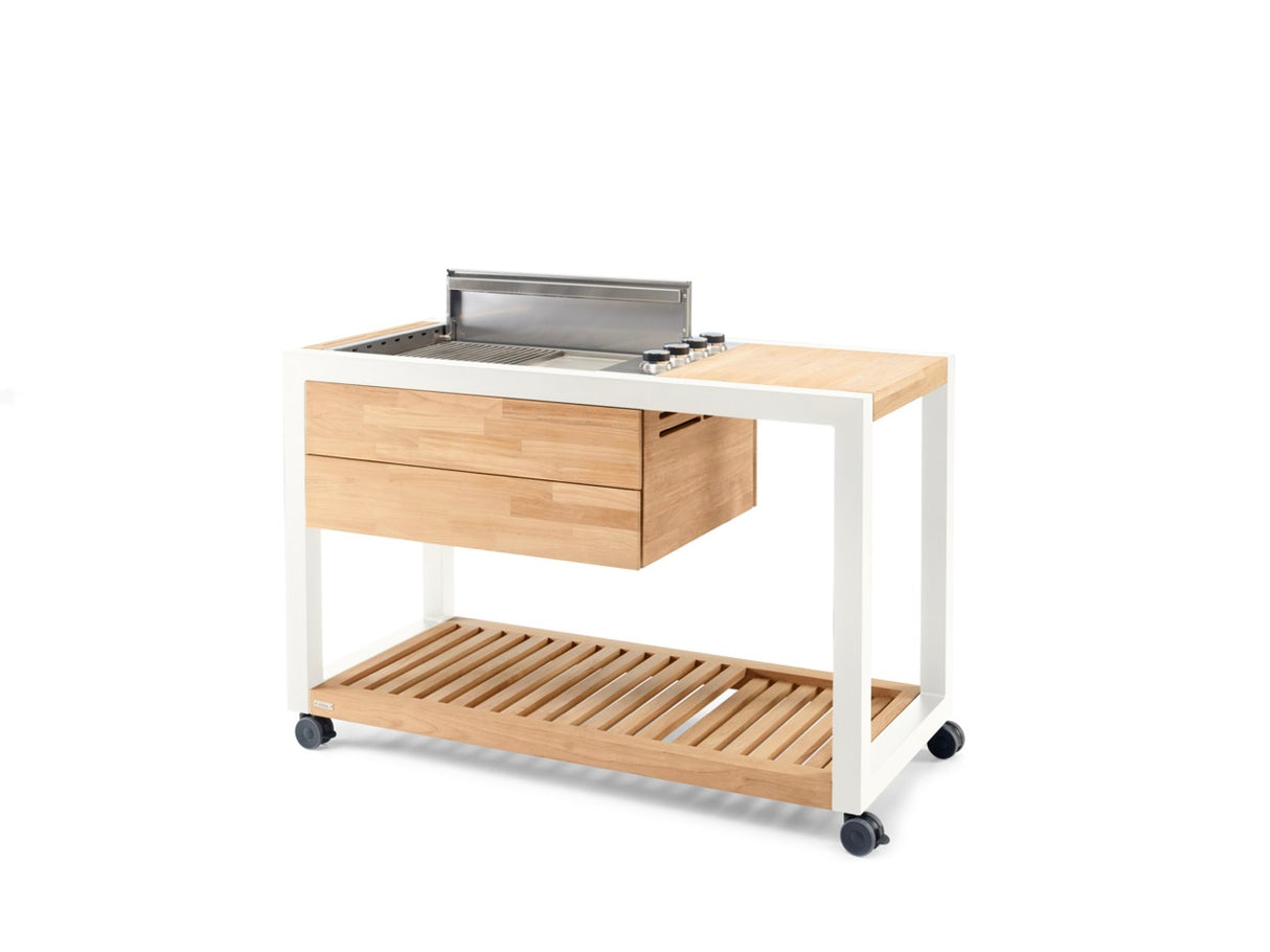 INDU+ Arvid Trolley - inkl. Gasgrill mit flachen Deckel