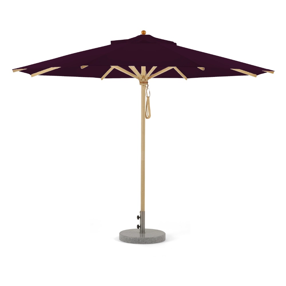 Aubergine
