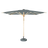 Eukalyptus