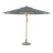 Eukalyptus