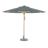 Eukalyptus