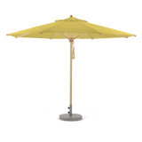 Limone