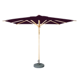 Aubergine