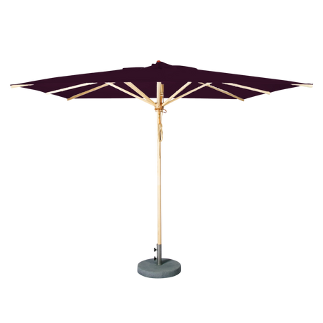 Aubergine