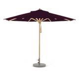 Aubergine