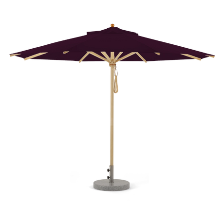 Aubergine
