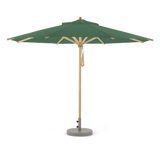 Schilfgrün