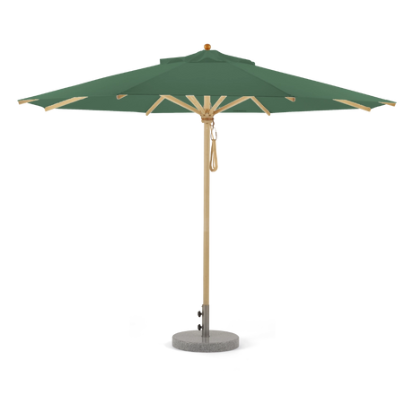 Schilfgrün